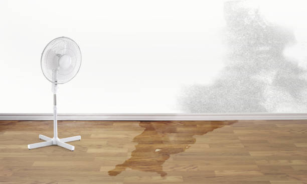 Best Sewage cleanup and water damage restoration  in Valley, NE