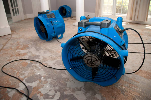 Best Flood damage cleanup  in Valley, NE